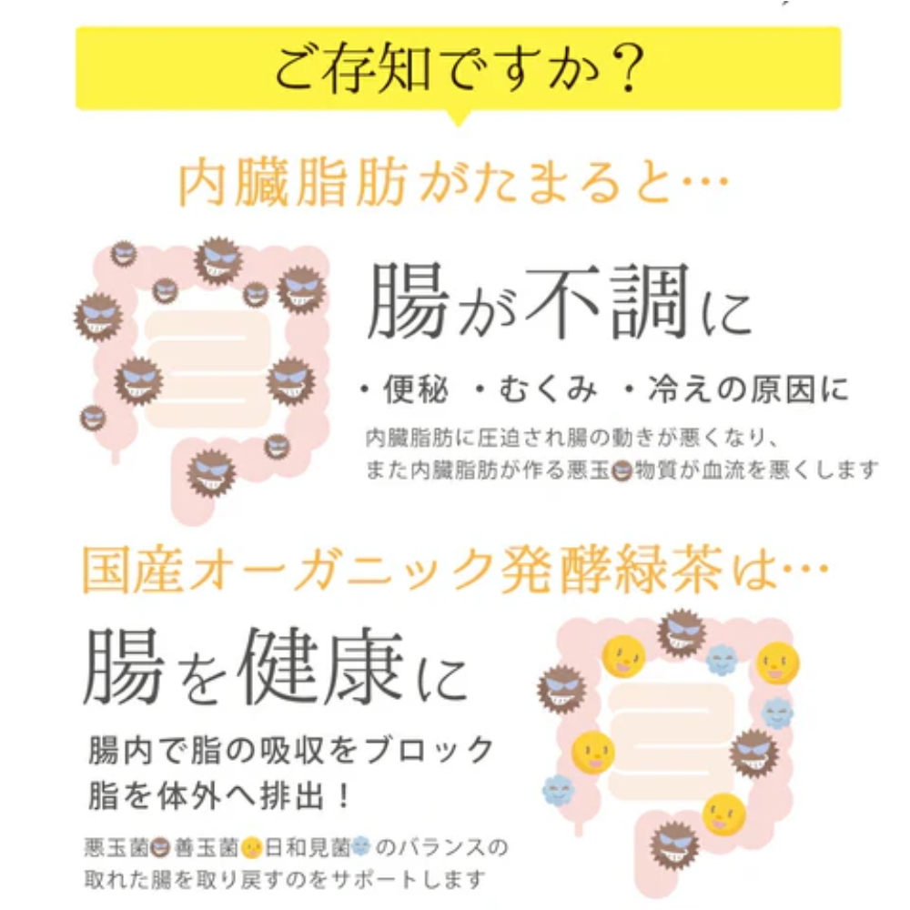 京都宇治 日本國產有機發酵綠茶包(20包) 產品圖片